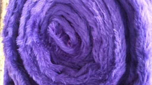 Violeta