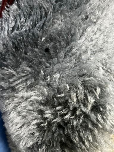 Gris oscuro